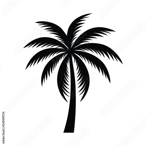 palm tree silhouettes