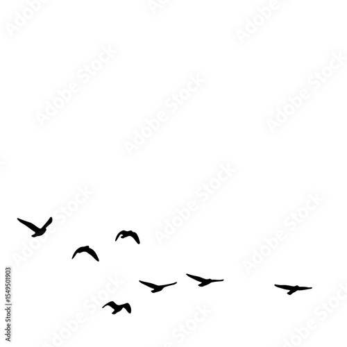 Flock of Birds Silhouette in the Sky | Black Bird Group Vector Illustration