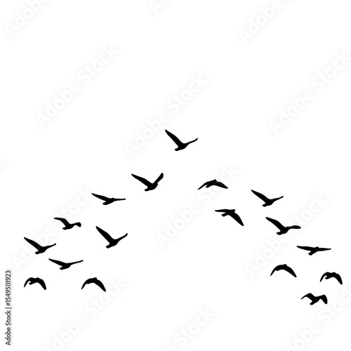 Flock of Birds Silhouette in the Sky | Black Bird Group Vector Illustration