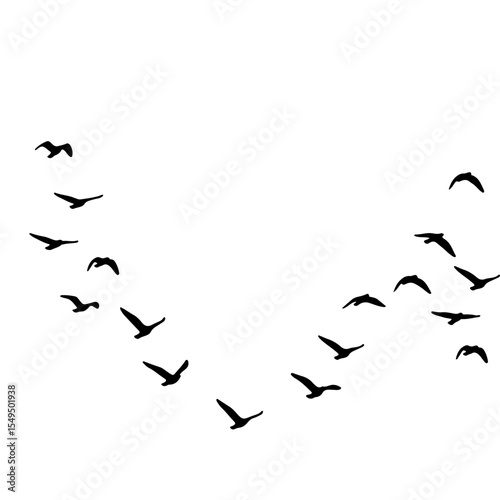 Flock of Birds Silhouette in the Sky | Black Bird Group Vector Illustration