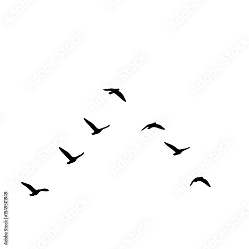 Flock of Birds Silhouette in the Sky | Black Bird Group Vector Illustration