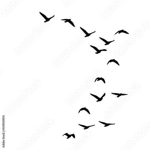 Flock of Birds Silhouette in the Sky | Black Bird Group Vector Illustration