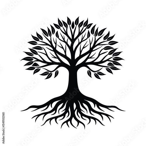tree with roots
