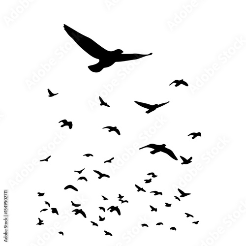 Flock of Birds Silhouette in the Sky | Black Bird Group Vector Illustration