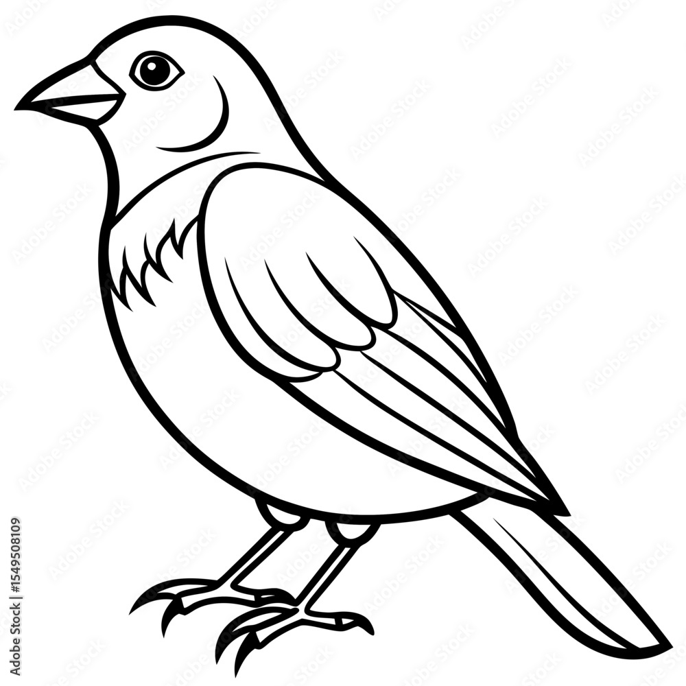 Fototapeta premium Fine Line Weaver Bird Graphic Art