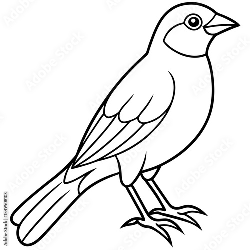 Fine Line Weaver Bird Graphic Art
