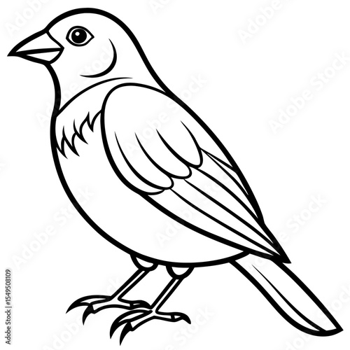 Fine Line Weaver Bird Graphic Art