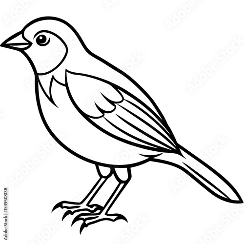 Fine Line Weaver Bird Graphic Art