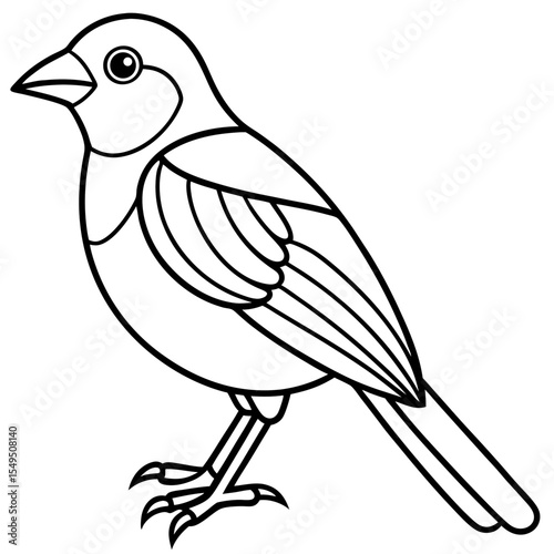 Fine Line Weaver Bird Graphic Art
