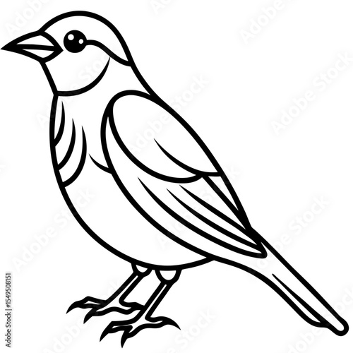 Fine Line Weaver Bird Graphic Art