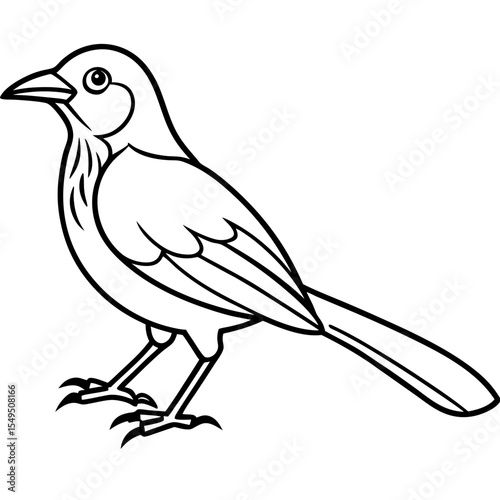 Fine Line Weaver Bird Graphic Art