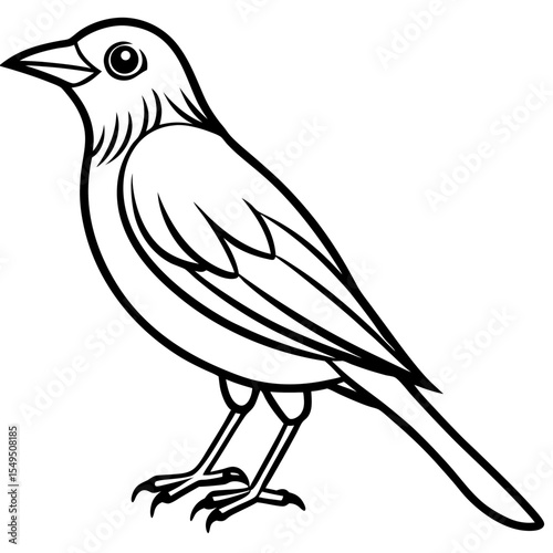 Fine Line Weaver Bird Graphic Art