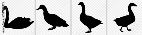 Ducks Vector Silhouette. duck with reflection.  Ducklings Silhouette