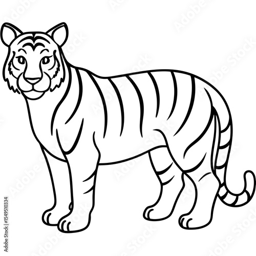 Full Body White Tiger Clean Vector Line Sketch