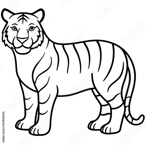 Full Body White Tiger Clean Vector Line Sketch