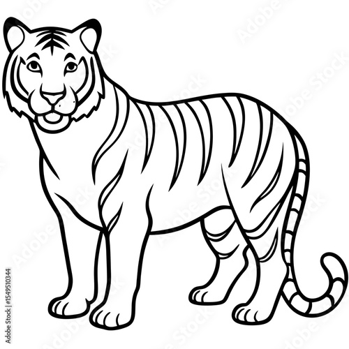 Full Body White Tiger Clean Vector Line Sketch