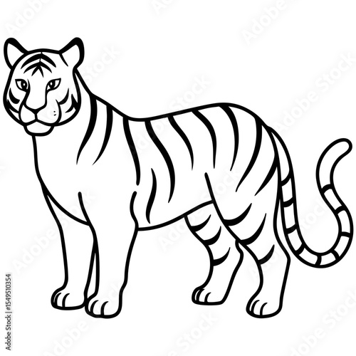 Full Body White Tiger Clean Vector Line Sketch