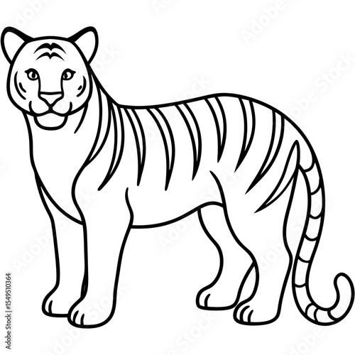 Full Body White Tiger Clean Vector Line Sketch