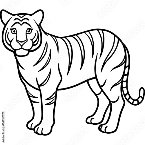 Full Body White Tiger Clean Vector Line Sketch
