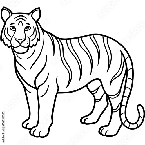 Full Body White Tiger Clean Vector Line Sketch