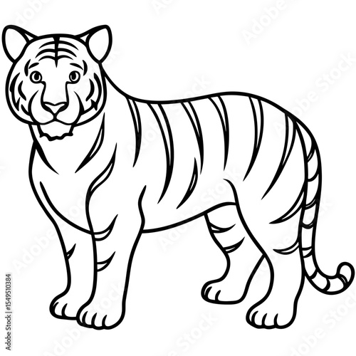 Full Body White Tiger Clean Vector Line Sketch