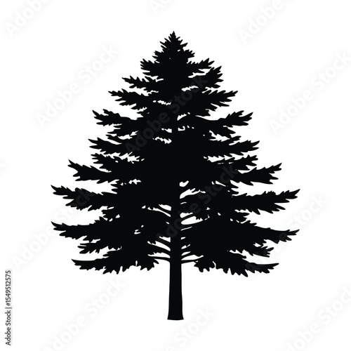 christmas tree isolated on white background