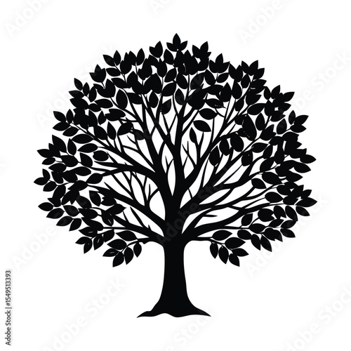 tree with roots