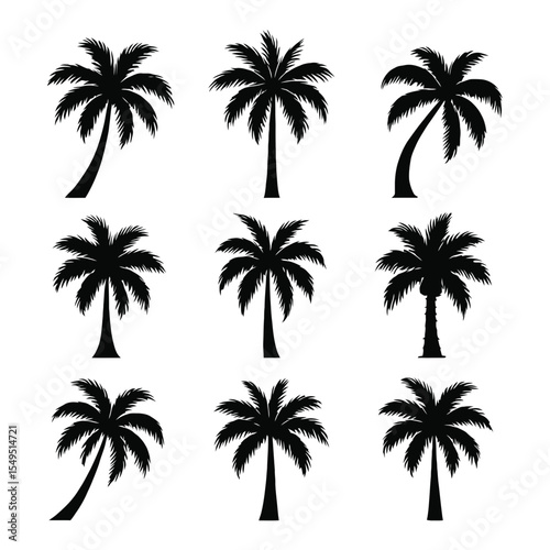 Black silhouettes of nine different palm tree varieties arranged in a grid format on a white background
