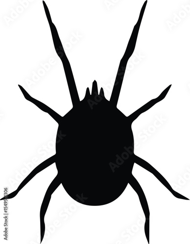 Mite spider silhouette isolated on transparent background