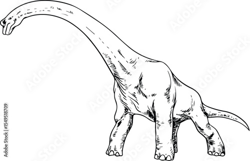 Brontosaurus dinosaur isolated on transparent background