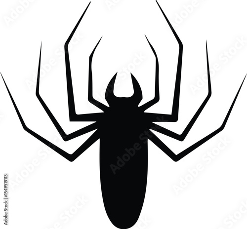 Black spider silhouette isolated on transparent background
