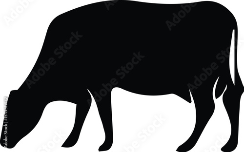 Cow silhouette grazing isolated on transparent background