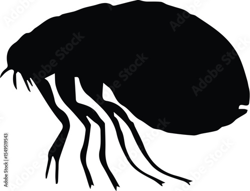 Flea silhouette isolated on transparent background in black color