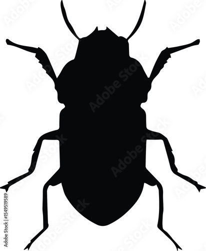 Silhouette of a beetle insect isolated on transparent background