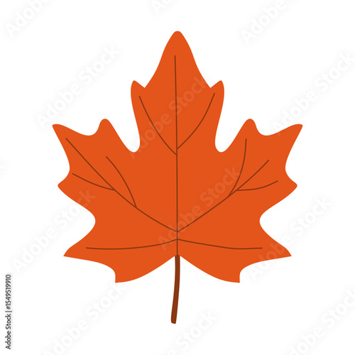 Autum red maple illustration