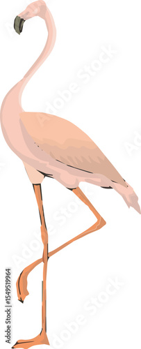 Pink flamingo standing on one leg isolated on transparent background