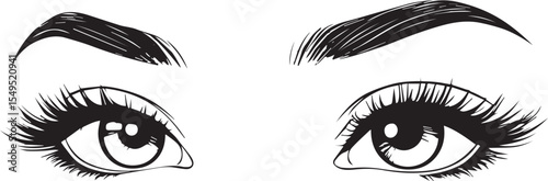 Illustration of expressive female eyes with long eyelashes and bold eyebrows. Black and white beauty sketch highlighting eye makeup, eyeliner, and feminine elegance