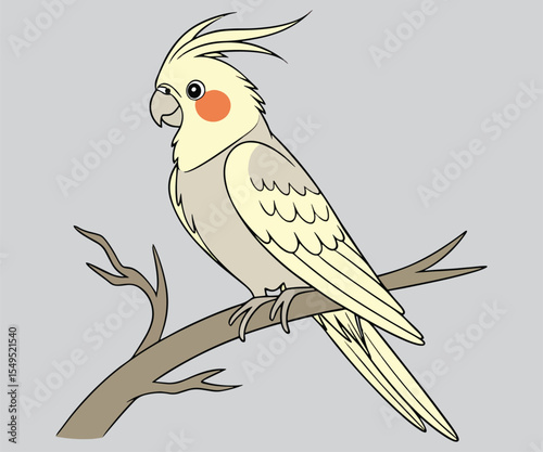 Yellow cockatoo parrot vector illustration sitting on a branch for print design