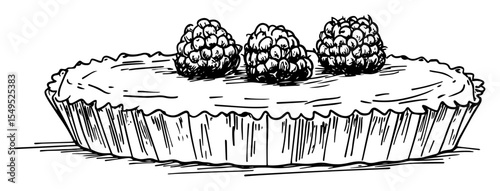 raspberry tart dessert hand drawn sketch illustration