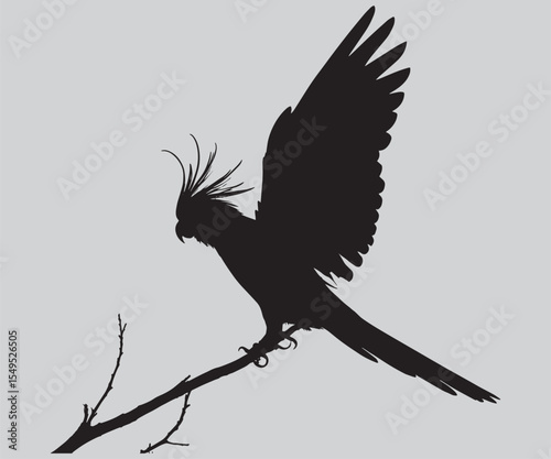 Cockatoo parrot black silhouette vector illustration sitting on a branch