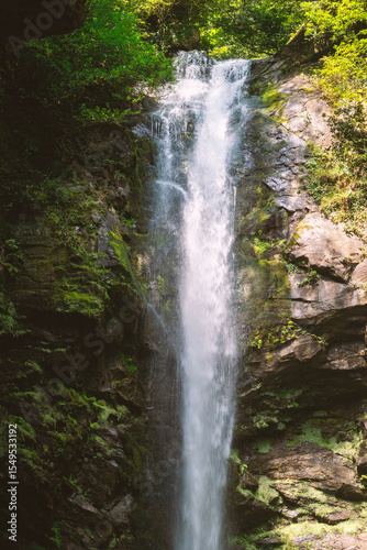 summer waterfall freshness