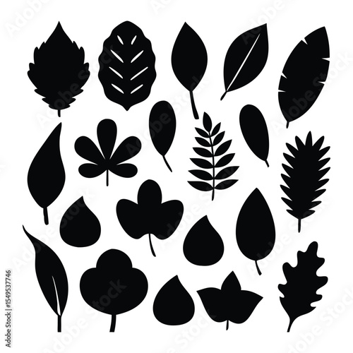 Black Silhouette Collection of Various Leaf Shapes Botanical Illustration leaves