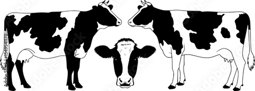 Holstein dairy cow collection with black and white spotted pattern frontal head silhouettes for farm agricultural design elements