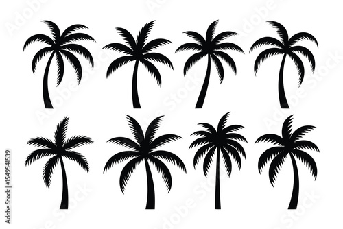 Silhouette Collection of Tropical Palm Trees Vector Set Isolated on White Background for Summer and Beach Design