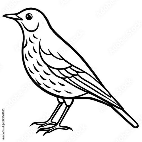 Line Art Bird Song Thrush White
