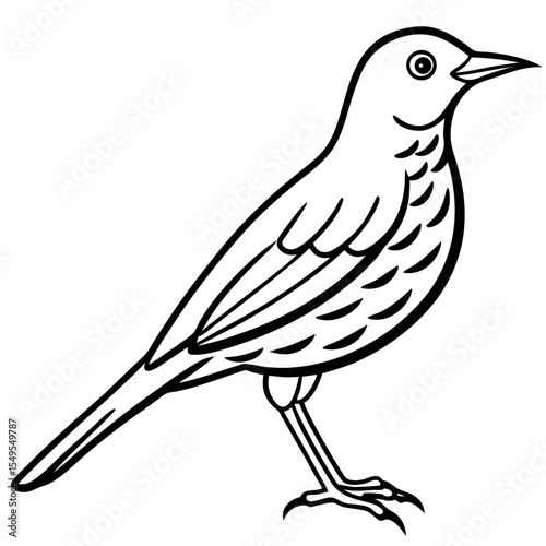 Line Art Bird Song Thrush White
