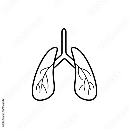 lungs
