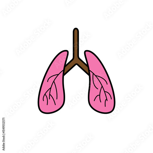 lungs