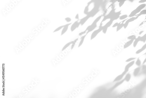 shadow overlay effects of realistic natural tree leaves shadow on white wall background,Summer sunlight and shadow overlay effect,shade for photo interior backdrop studio mockup