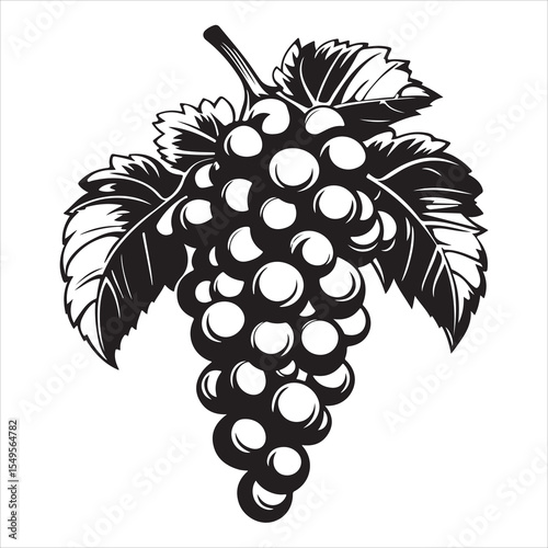 grapes silhouette, grapes vector illustration, vector silhouette grape design, Simple grapes illustration black vector
